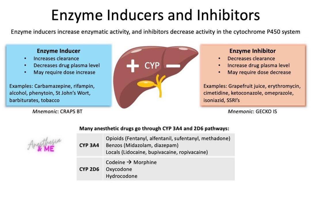 Cardiophilia - Enzyme inducers and inhibitors are... | Facebook