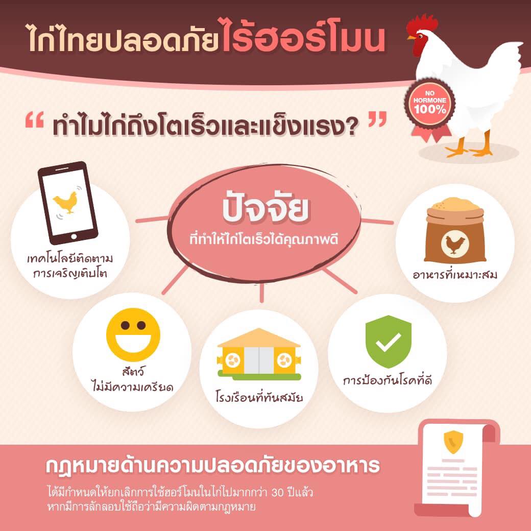 ไก่ไทยปลอดภัยไร้ฮอร์โมน!... - ดีฟาร์ม ภูเก็ต - DFarm Phuket | Facebook