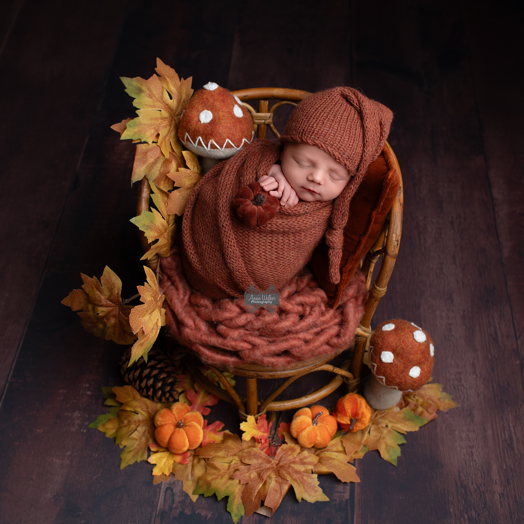 Meet the newest member of the Coastal... - Coastal Oak Beams | Facebook