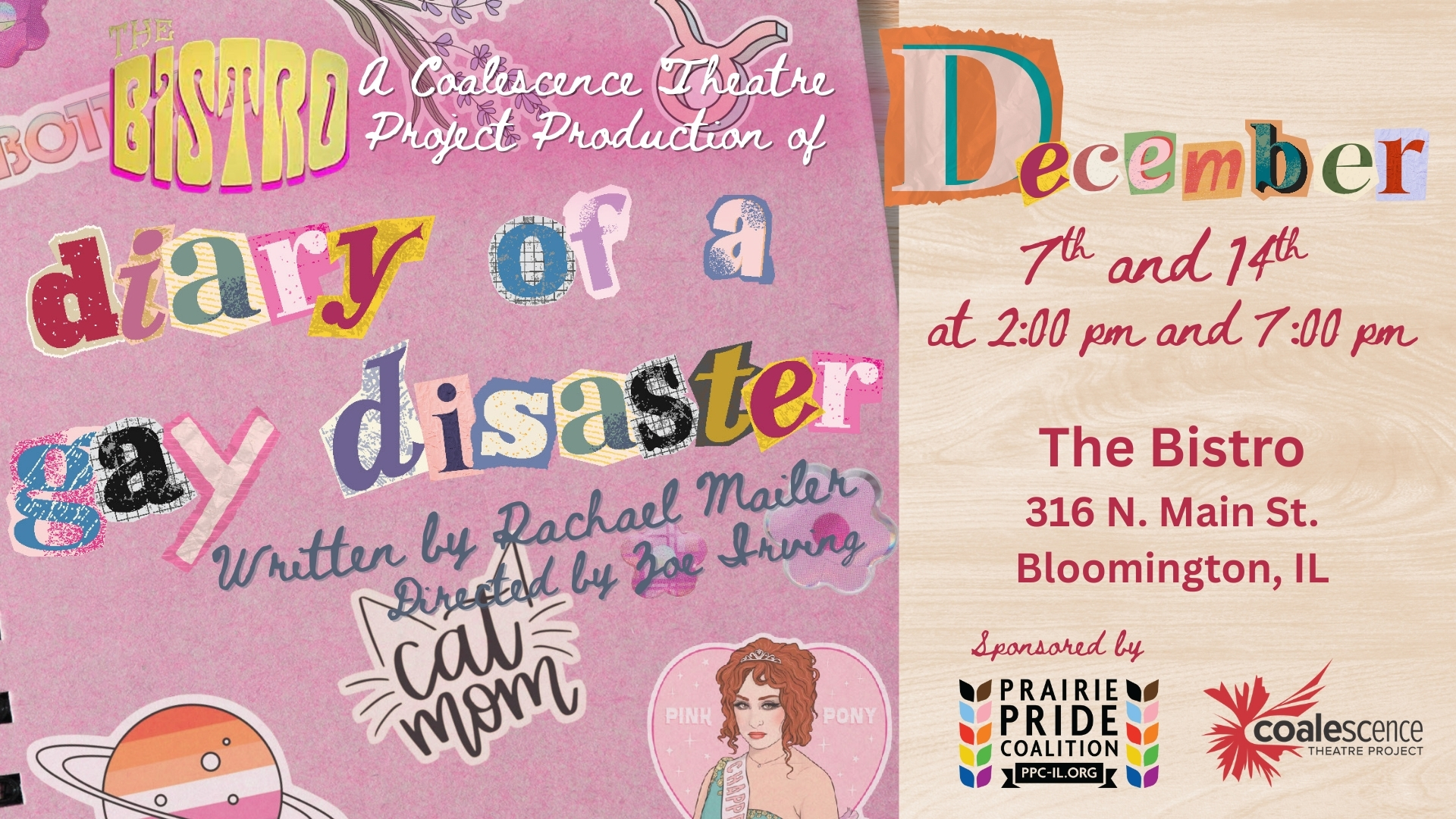 Diary of a Gay Disaster by Rachael Mailer