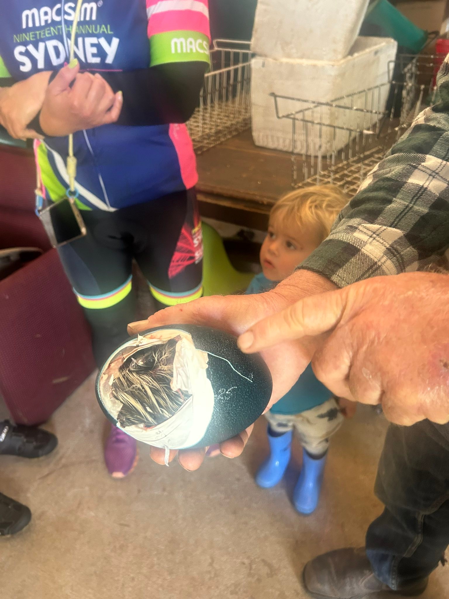 Cooper - At the Emu Farm for lunch and this little fella was nearly out ...