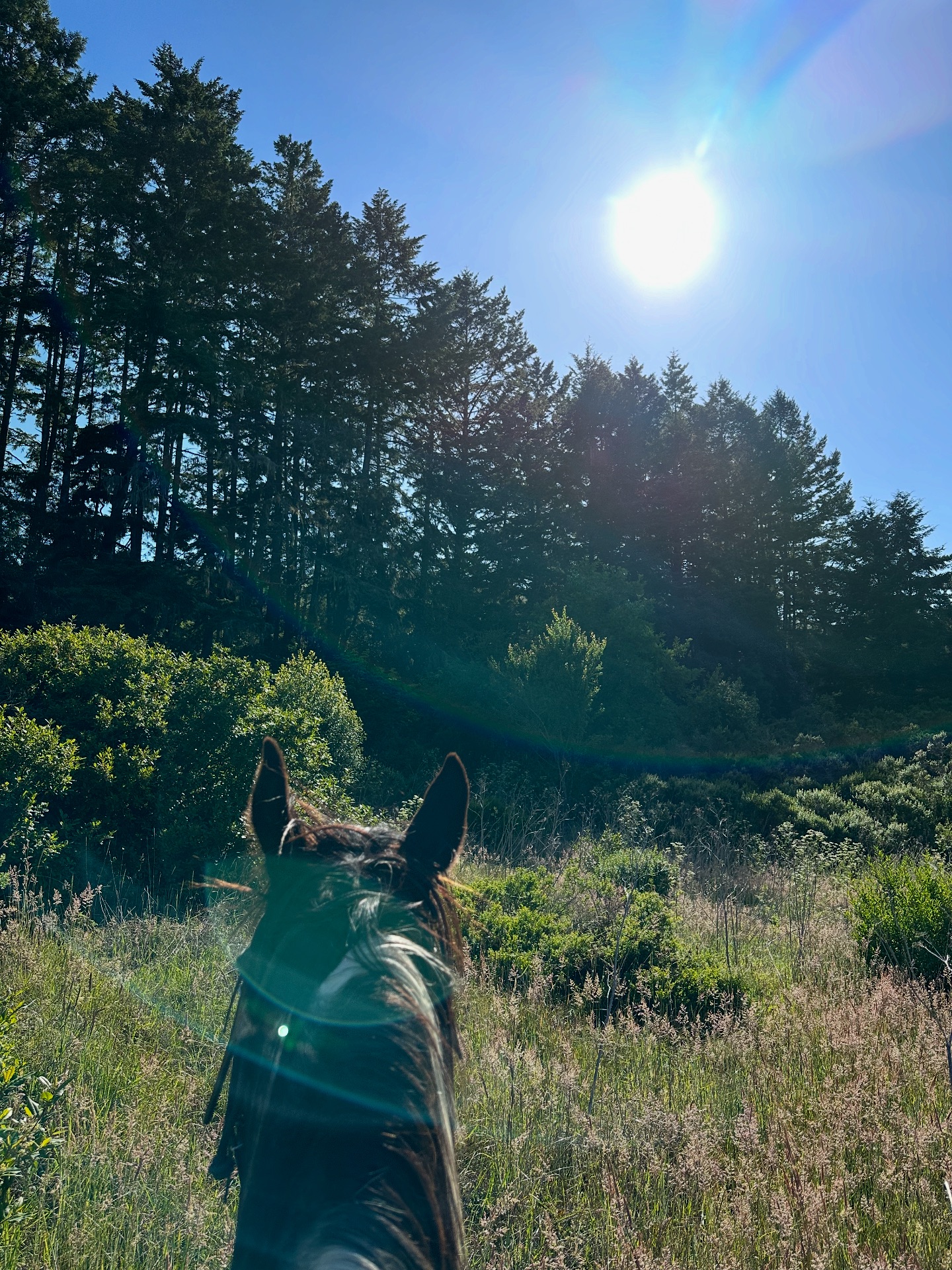 Five Brooks Ranch | Olema CA