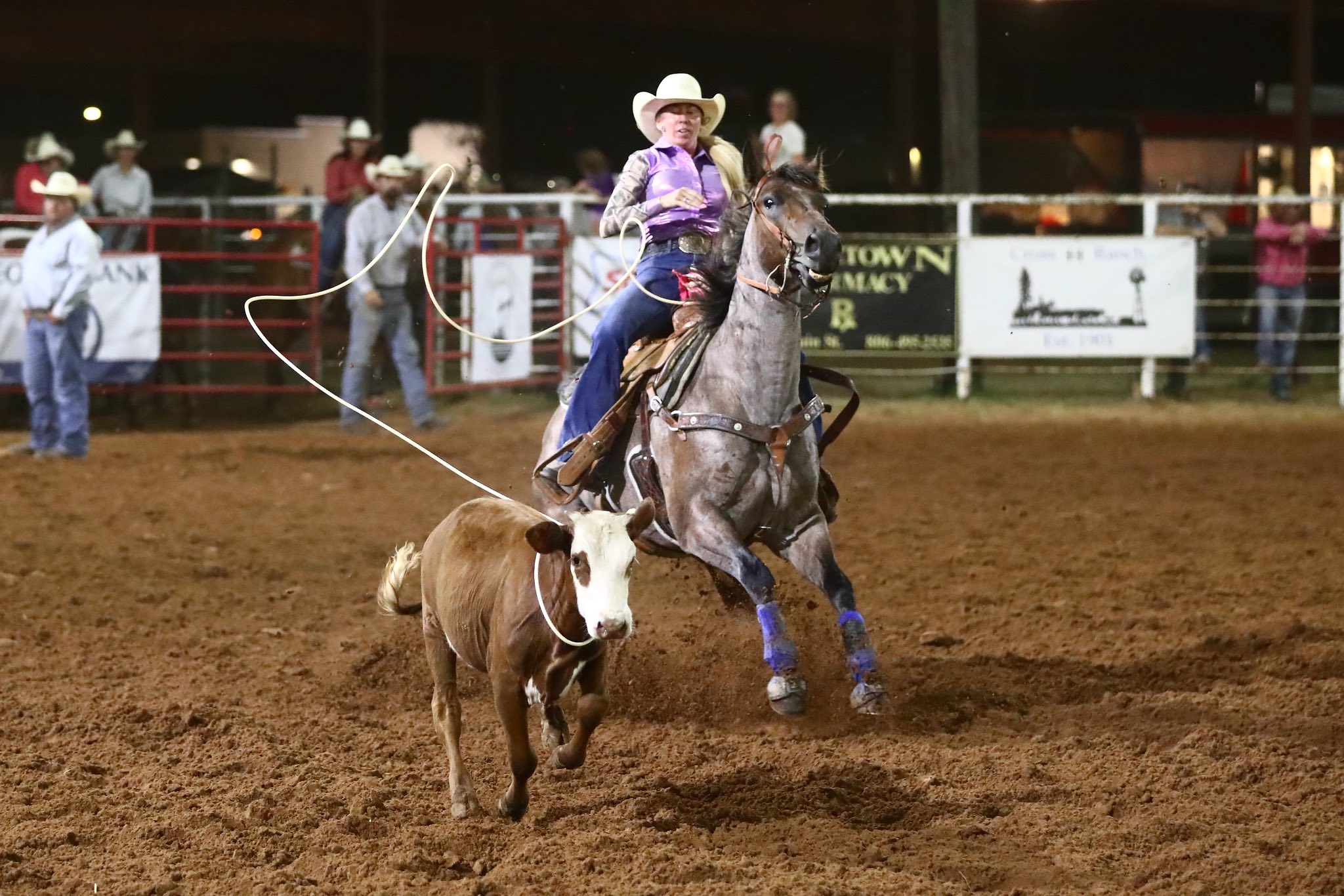 Wild Eye Ranch - The Duke What a fun journey this horse has been for 9 ...