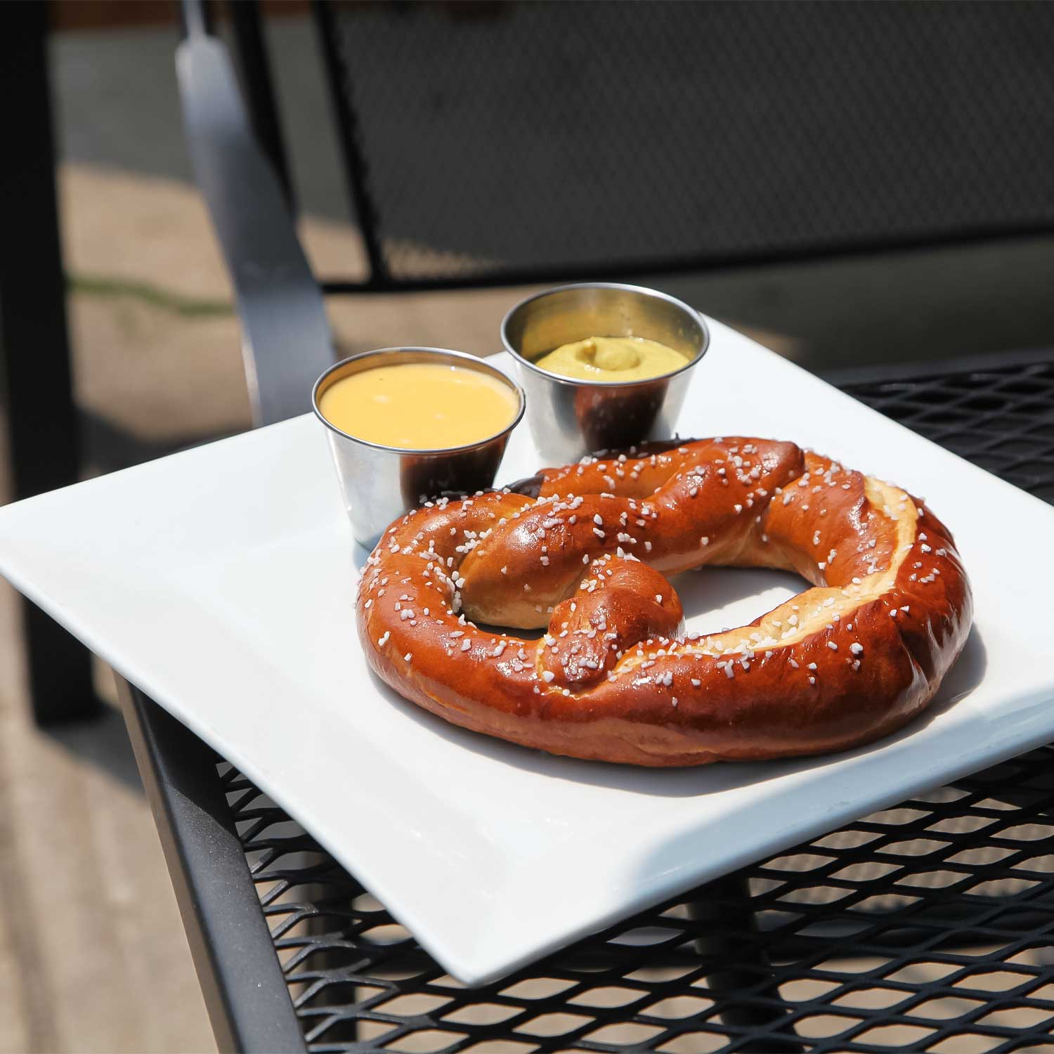Destination Dogs | New Brunswick NJ