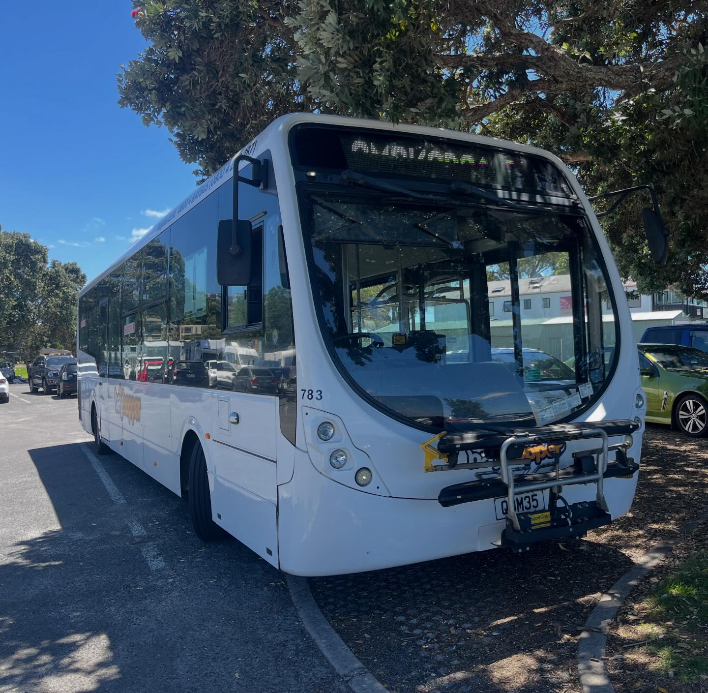 New Zealand Bus Photo | Greerton