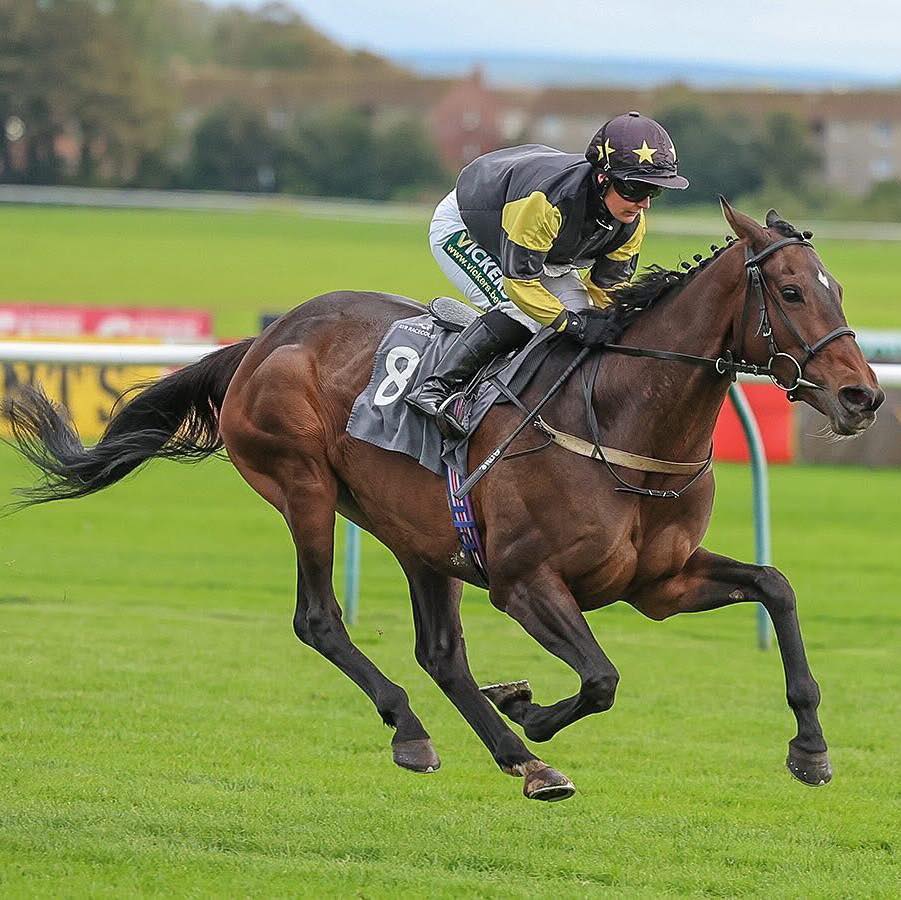 It’s Ayr’s last flat meeting of 2025... - Jim Goldie Racing | Facebook