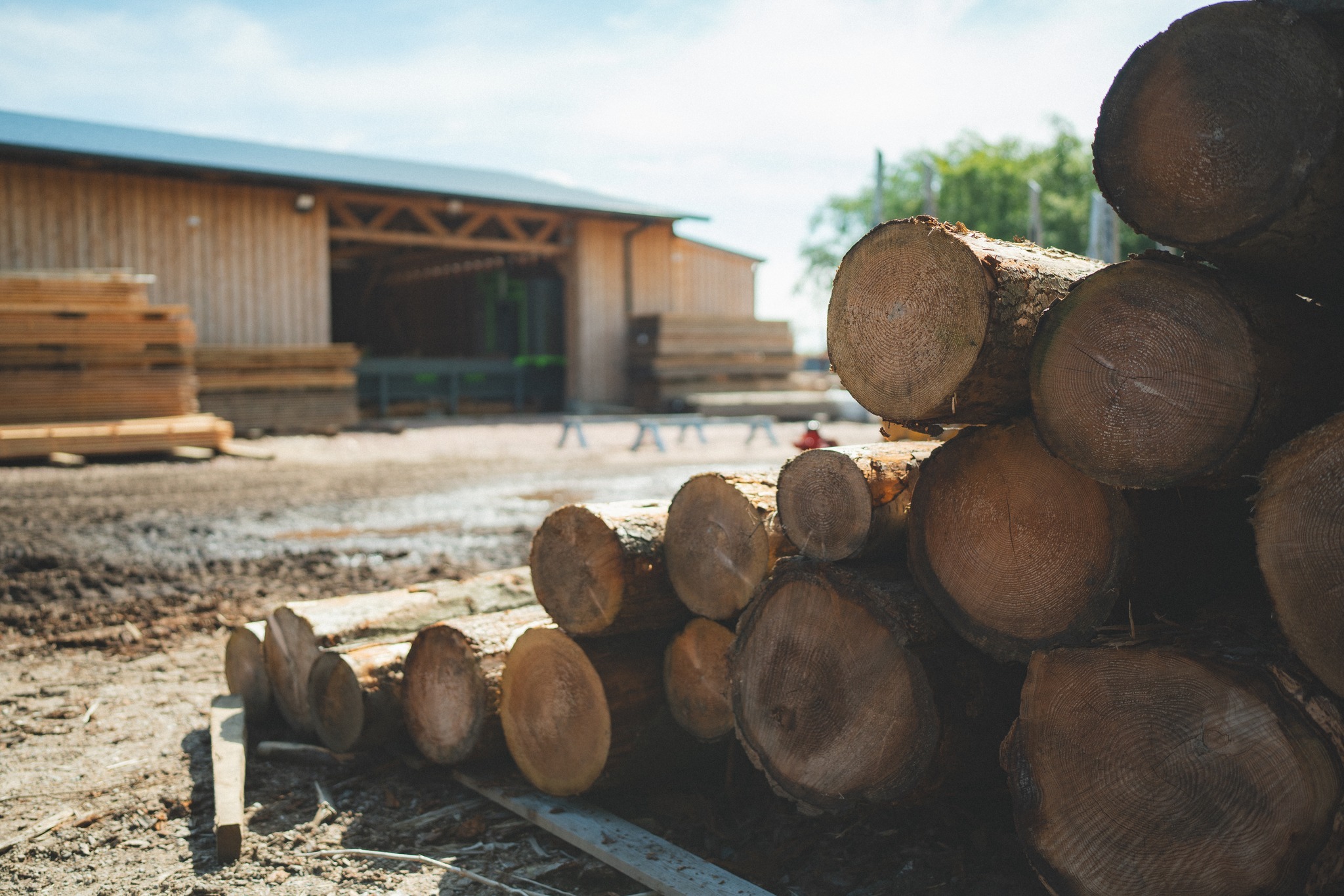 Logie Timber | Forres