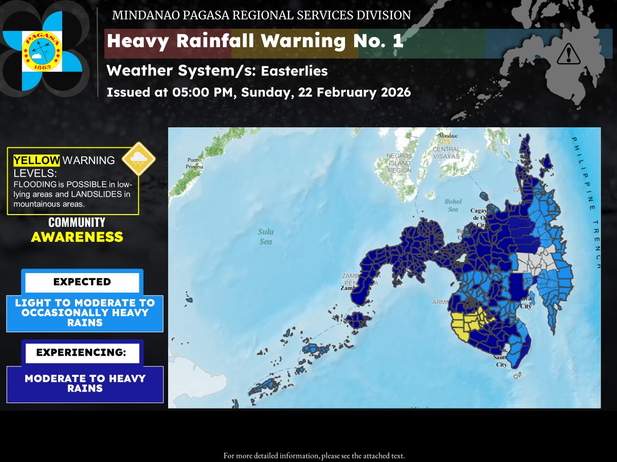 Lgu Rizal Mdrrmo