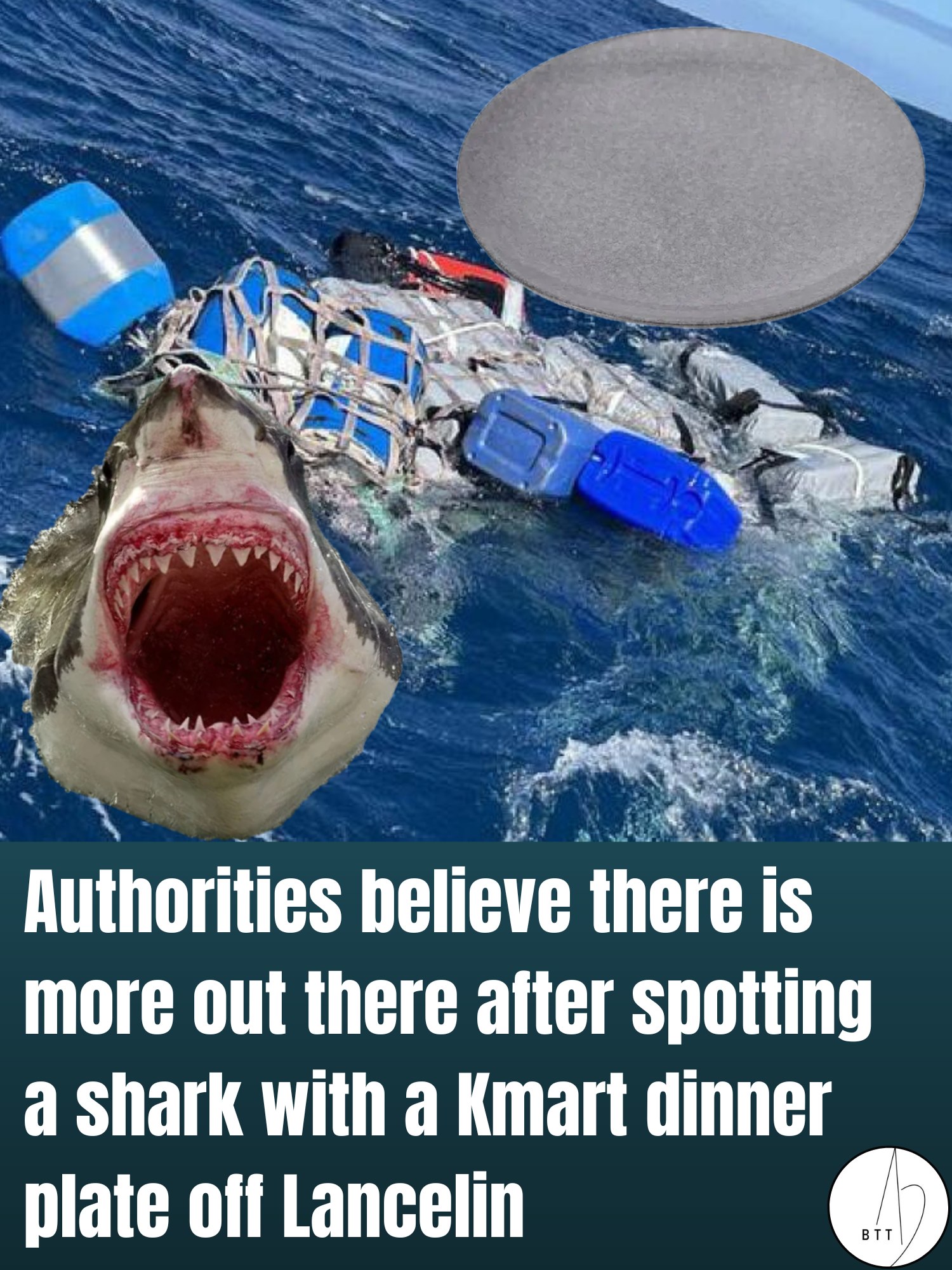 The Bell - A fisho ran into the shark who he said was talking really ...