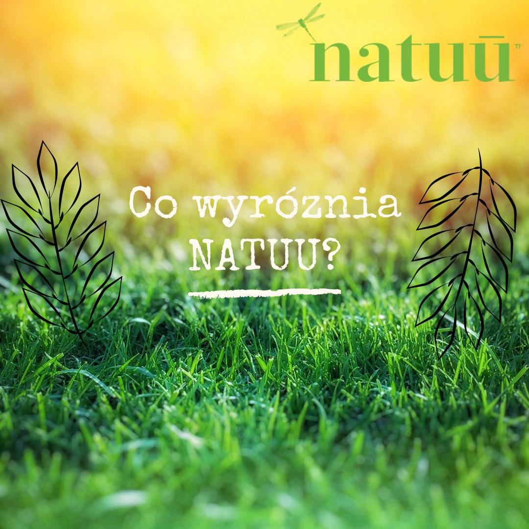 natuu - Co wyróżnia Natuu? 🌱 Wiedza na temat...