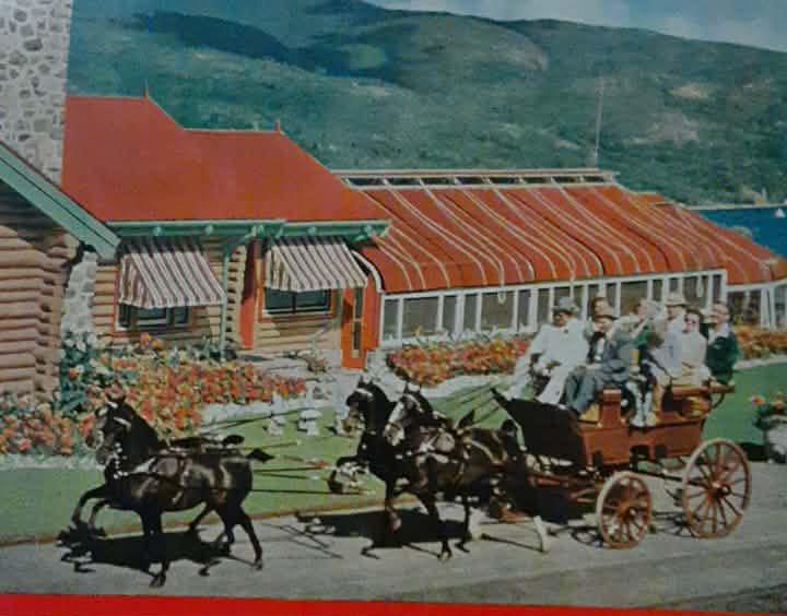 The Canadian Hackney... - The Canadian Hackney Society