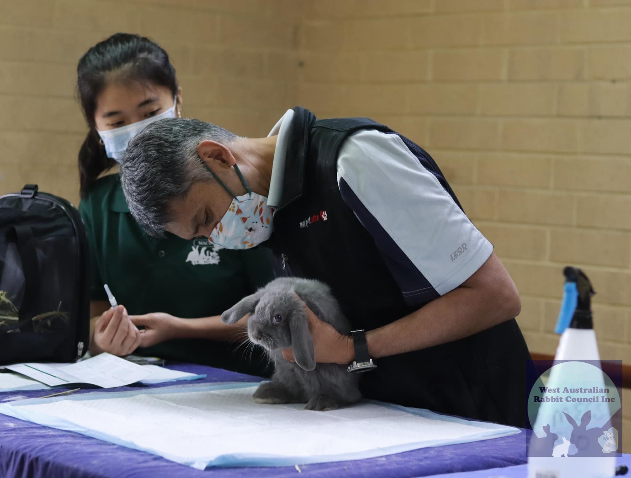 West Australian Rabbit... - West Australian Rabbit Council