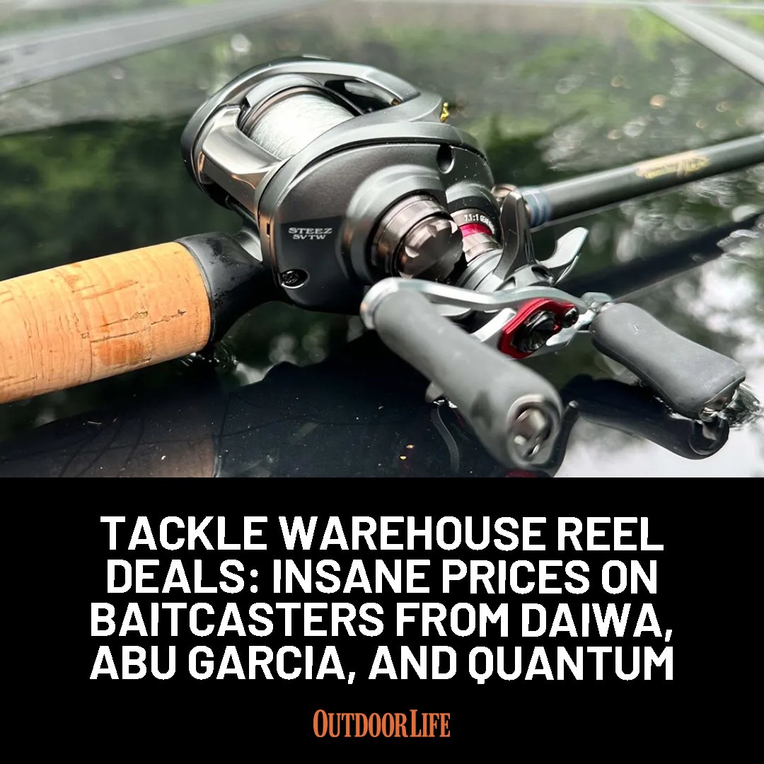 baitcasting reel clearance  BILLINGS AK Series  High-Speed, Ultra-Smooth & Pow  Deep Blue Fishing Supplies The 5.6 Precision Fishing | M1 Low
