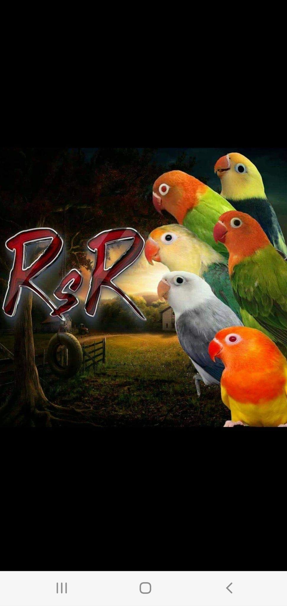 RD Reyes