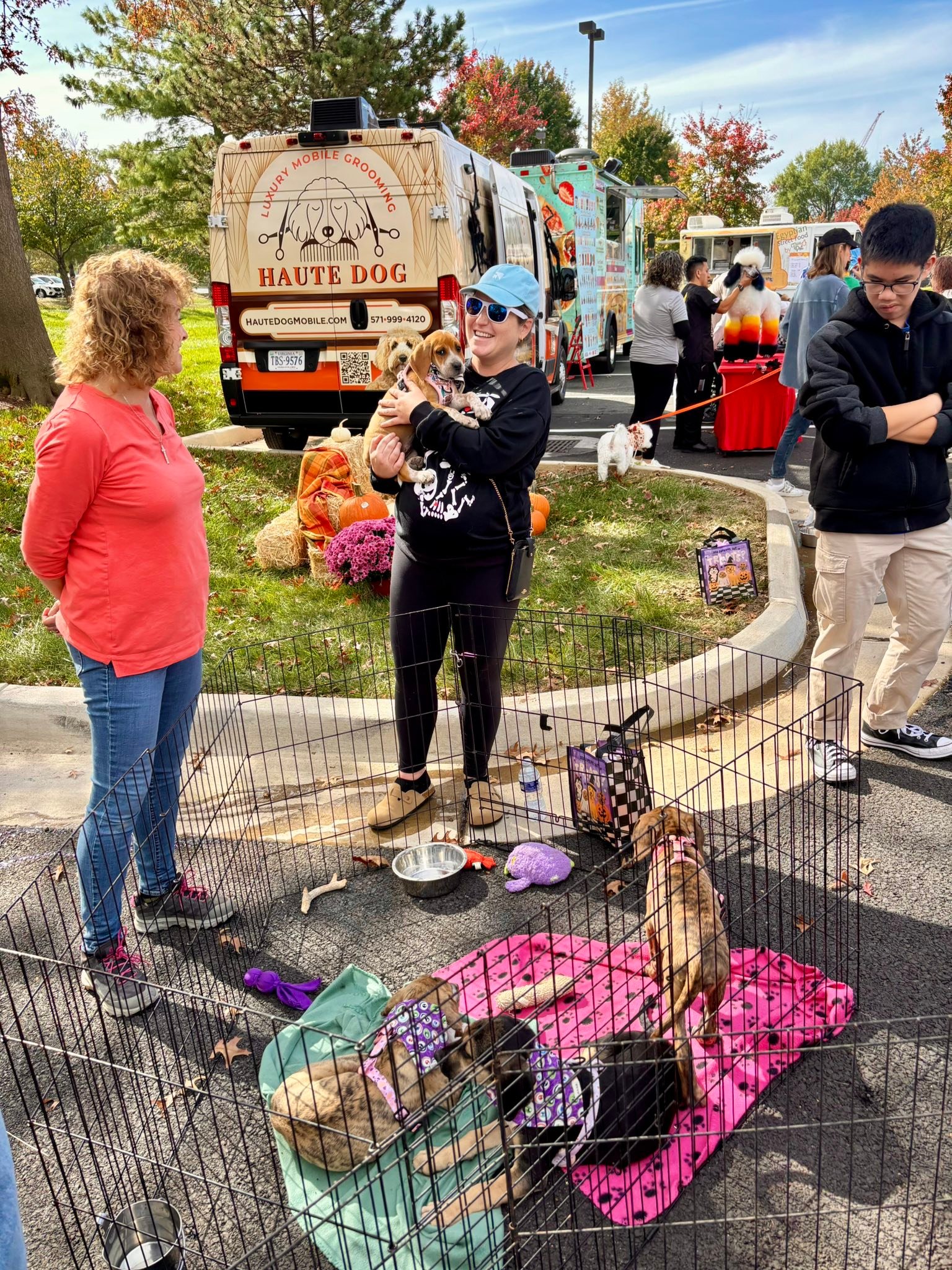 Hampshire County... - Hampshire County Pet Adoption Program
