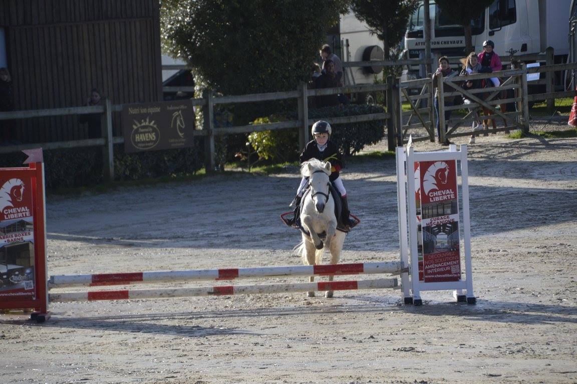 Poney Club Du Goelo Avis Facebook - 