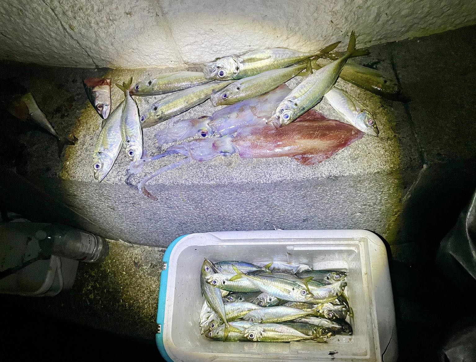 SMASH Fishing - Look out for tonight’s video at 5 guys 🔥🔥... | Facebook