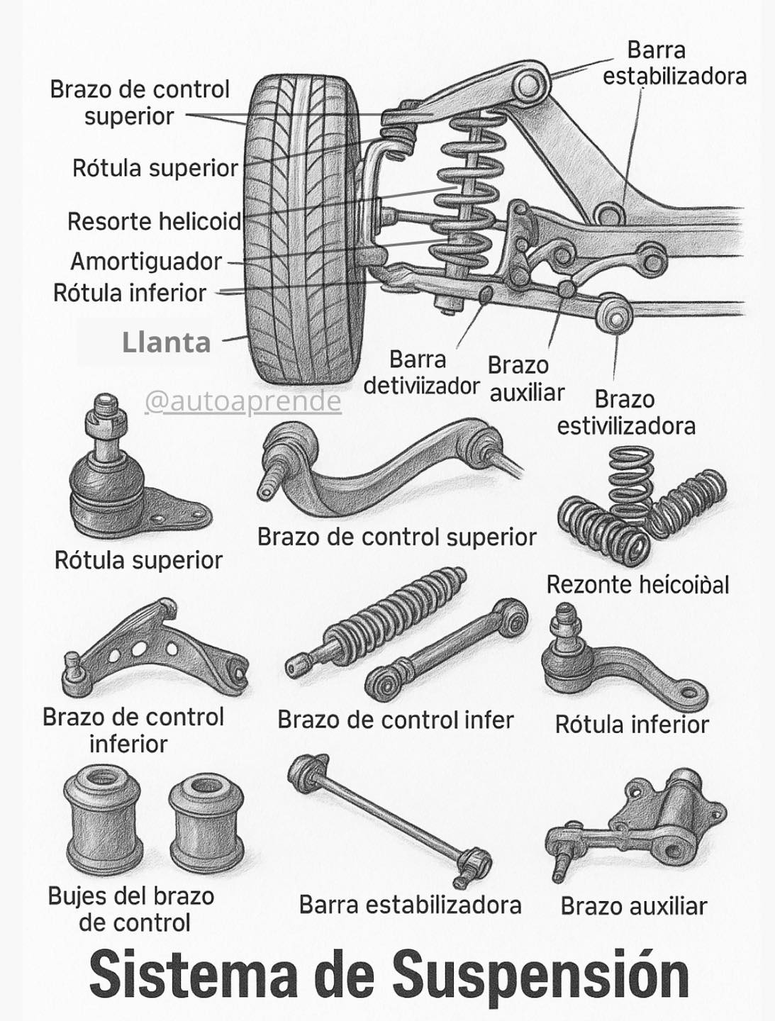 Comercializadora De Partes Automotrices. | Irapuato