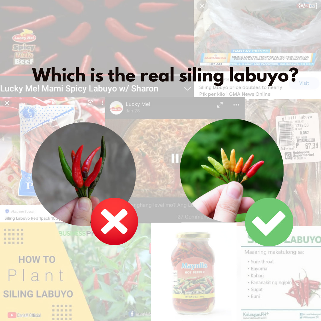 Pinoy Agri Hub