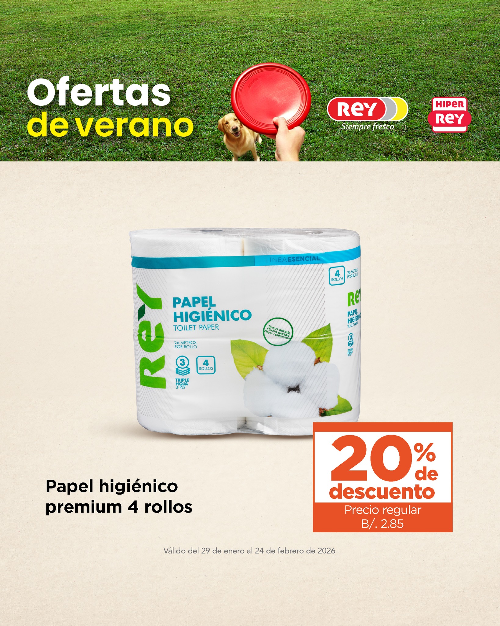 🏖️Llegaron las ofertas para disfrutar... - Supermercados Rey | Facebook