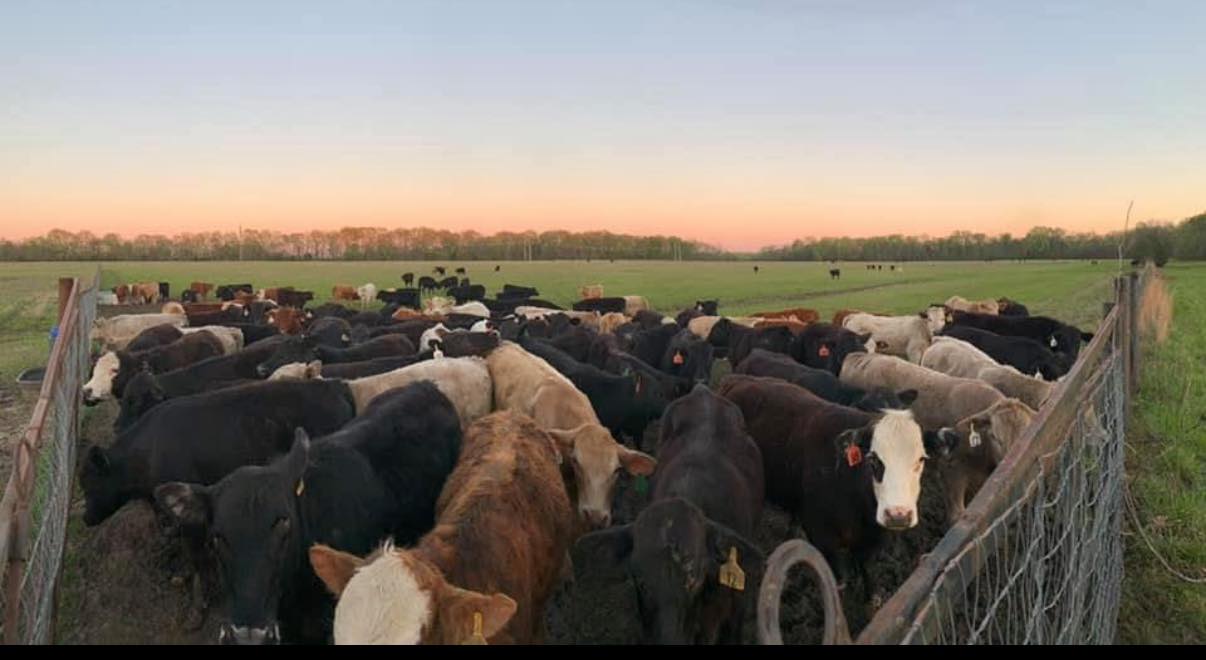 Infinity Ranch, LLC.