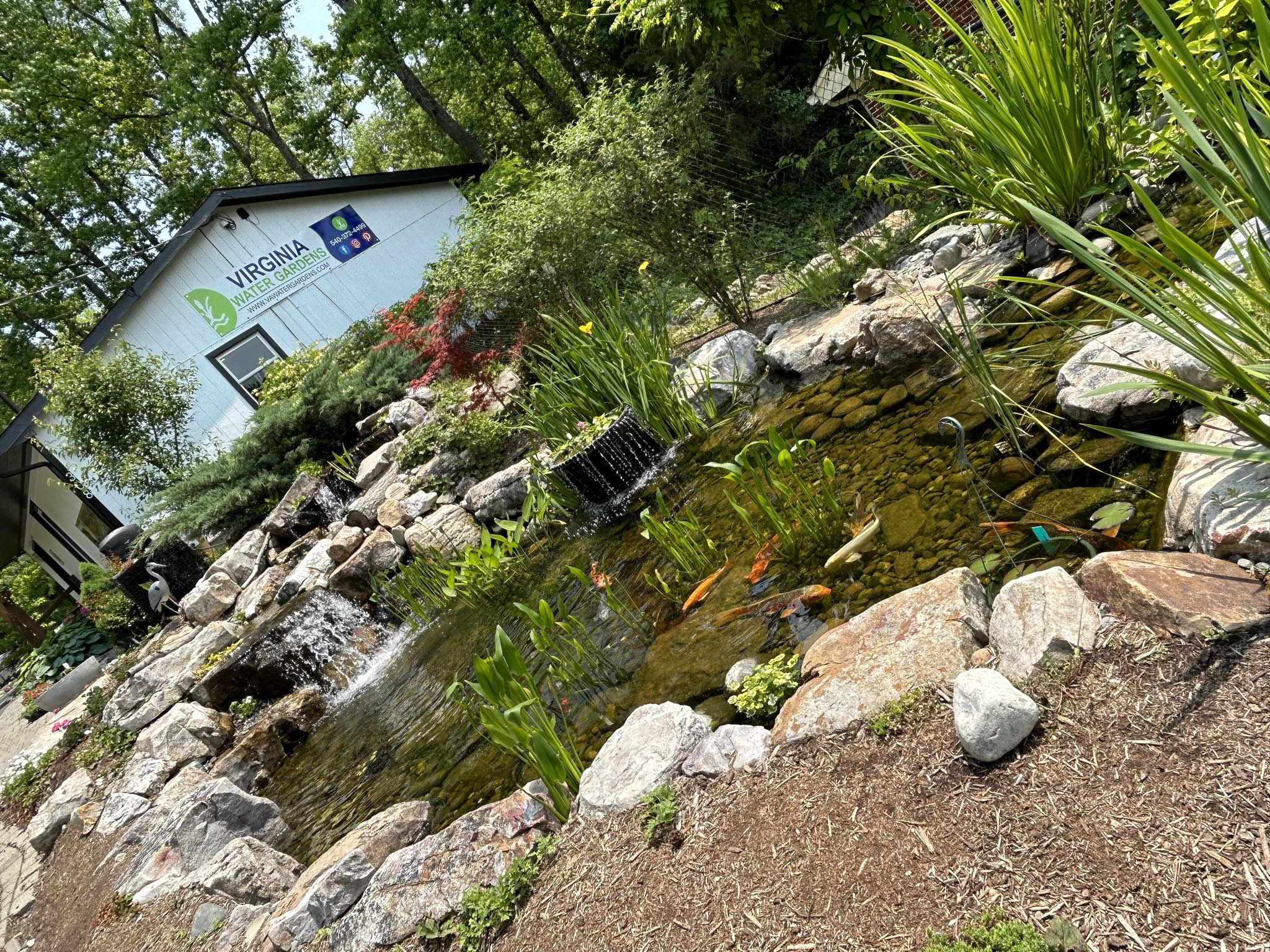 Virginia Water Gardens | Fredericksburg VA