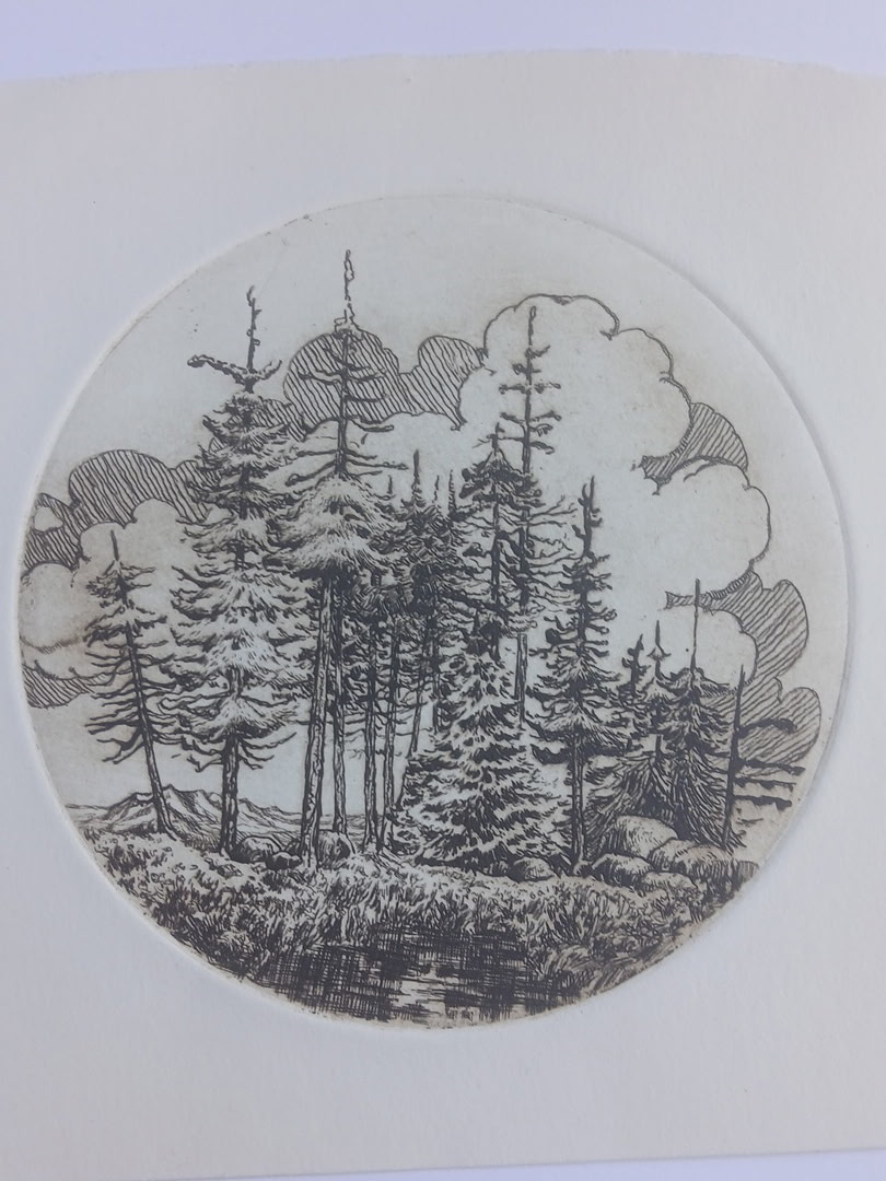 Drawing Fundamentals Class | Ages 10 to Adult