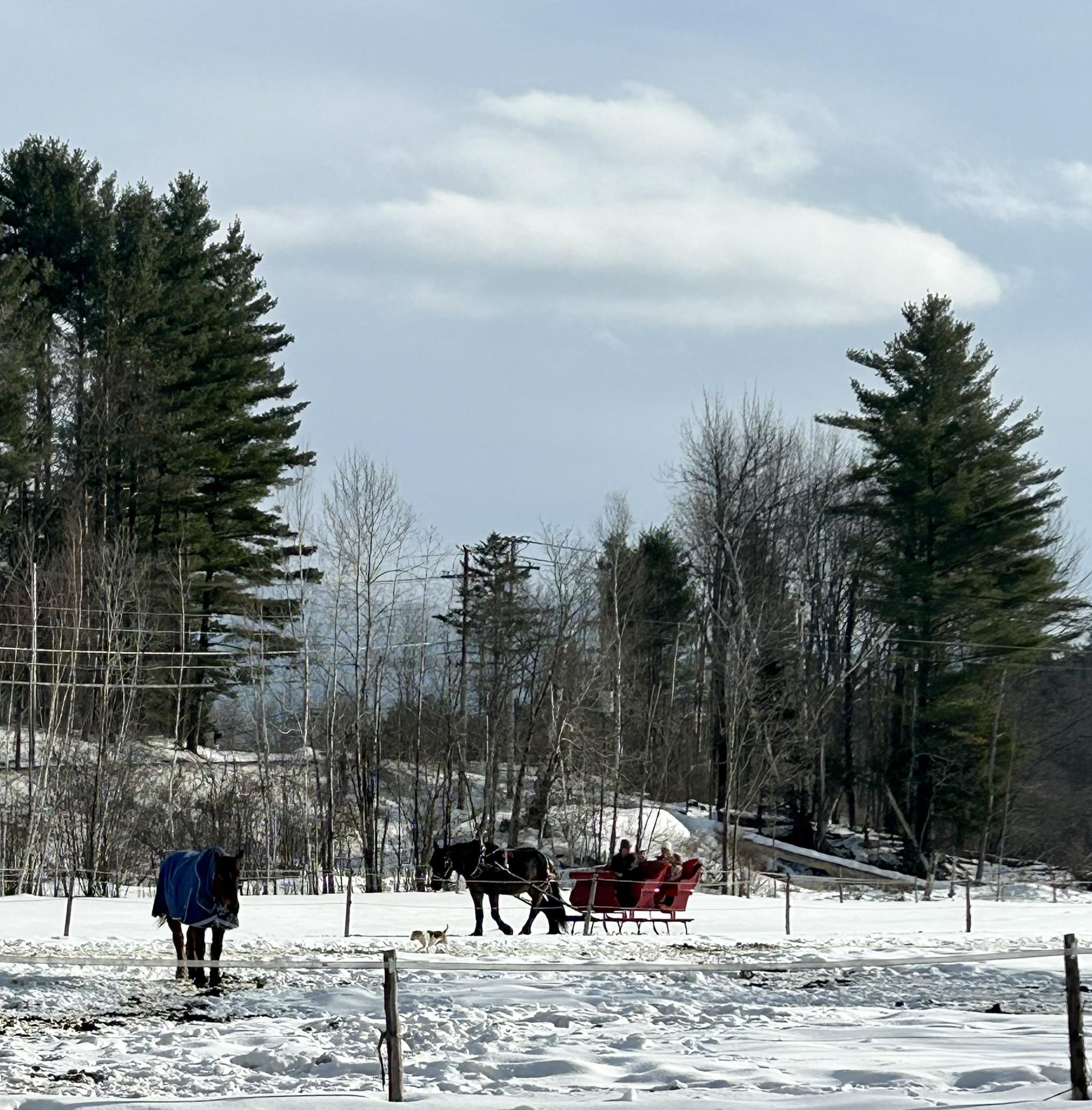 Gentle Giants Sleigh & Wagon Rides | Stowe VT
