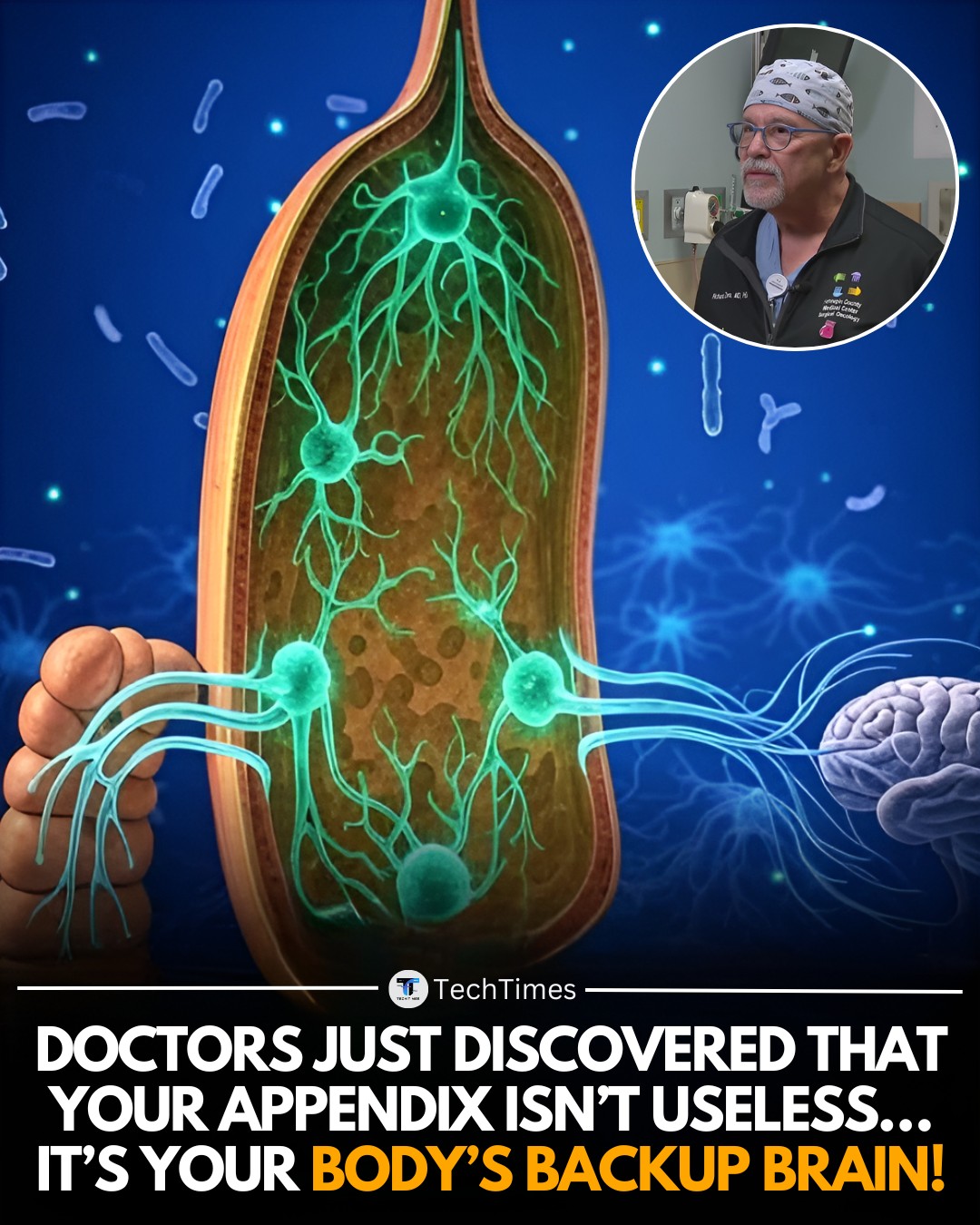 For years, the appendix was dismissed... - Engineering Post | Facebook