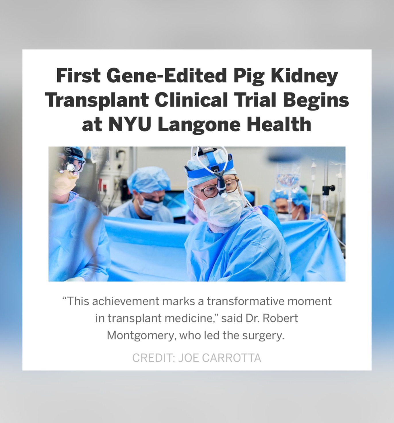 The Kidney - A groundbreaking step in transplant medicine! The first ...