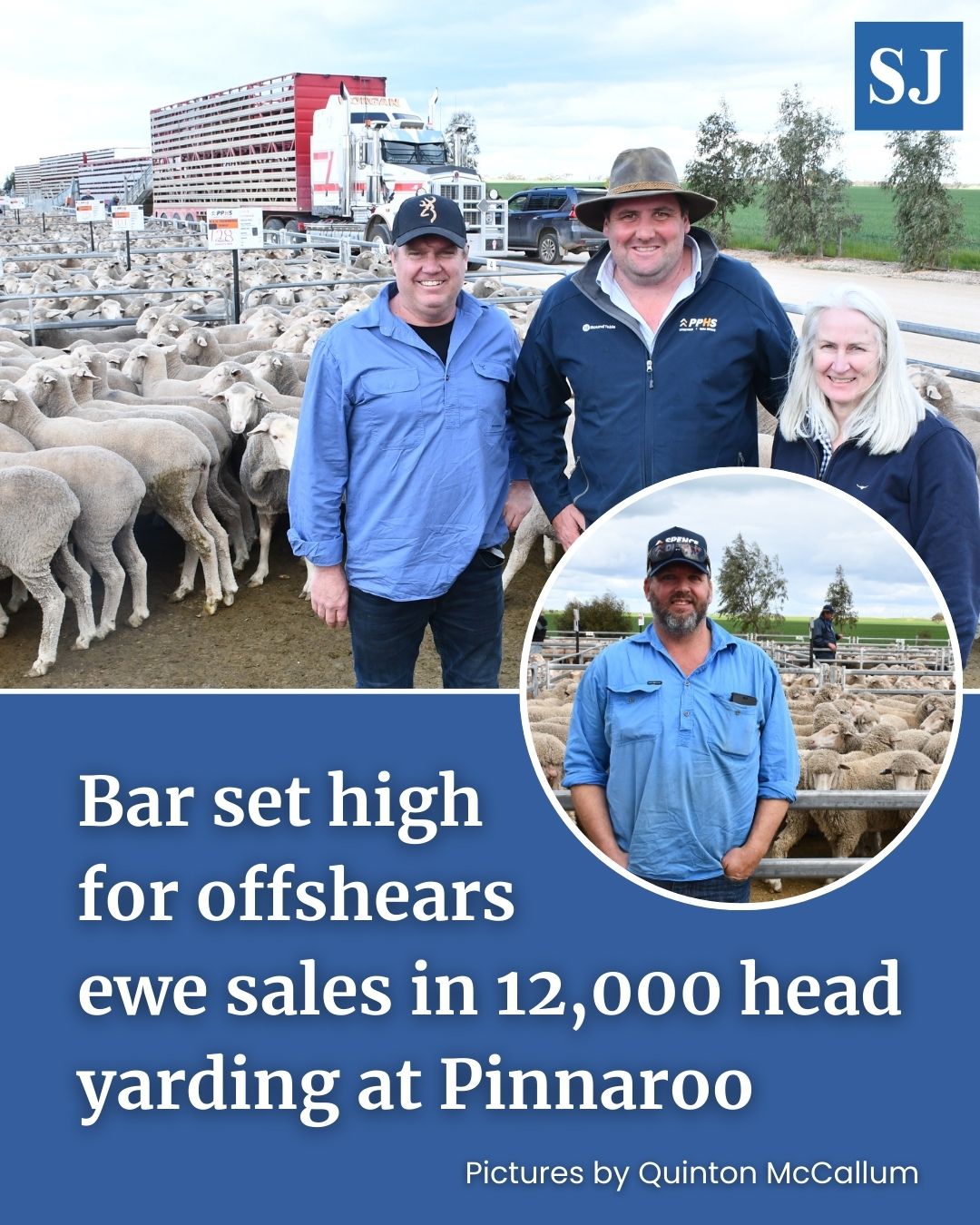Stock - All the prices, vendors and buyers from PPHS Pinnaroo's ...