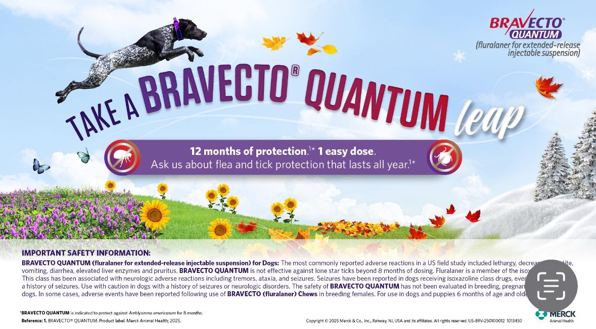 Introducing Bravecto Quantam... - Alexandria Animal Hospital | Facebook
