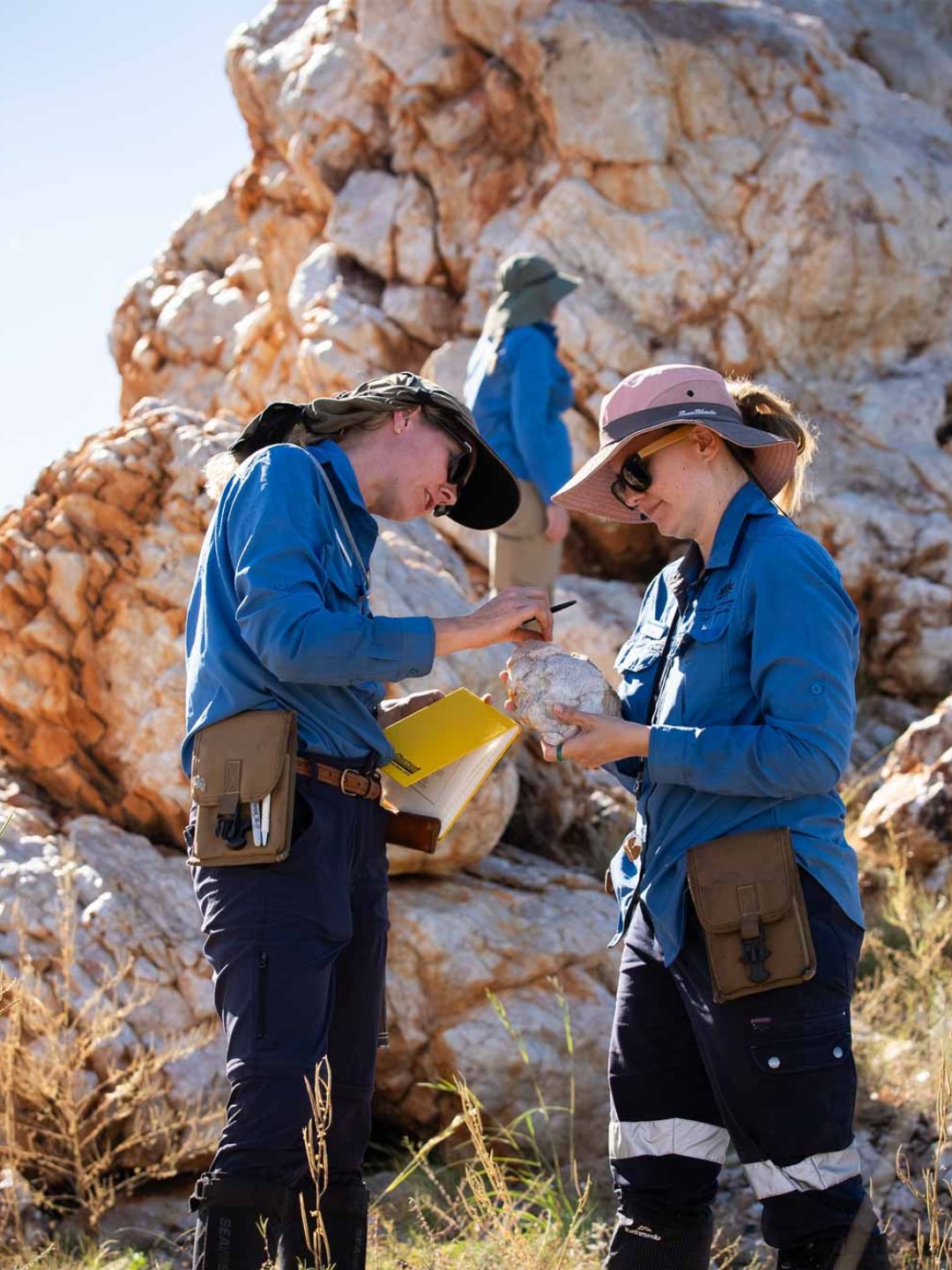 Geoscience - Have you heard that the 2018 Australian Geoscience Council ...
