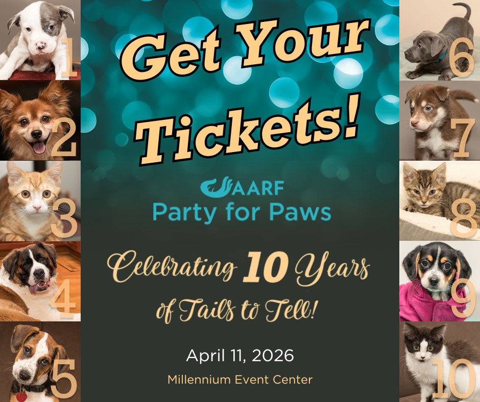 AARF - 🎟️ Tickets are ON SALE now for Party 4 Paws 2026 —... | Facebook