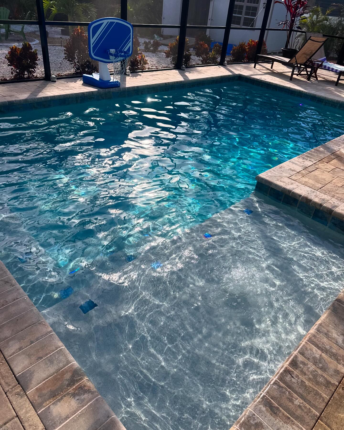 Pool Wizard Cleaning and Maintenance Services | Clearwater FL