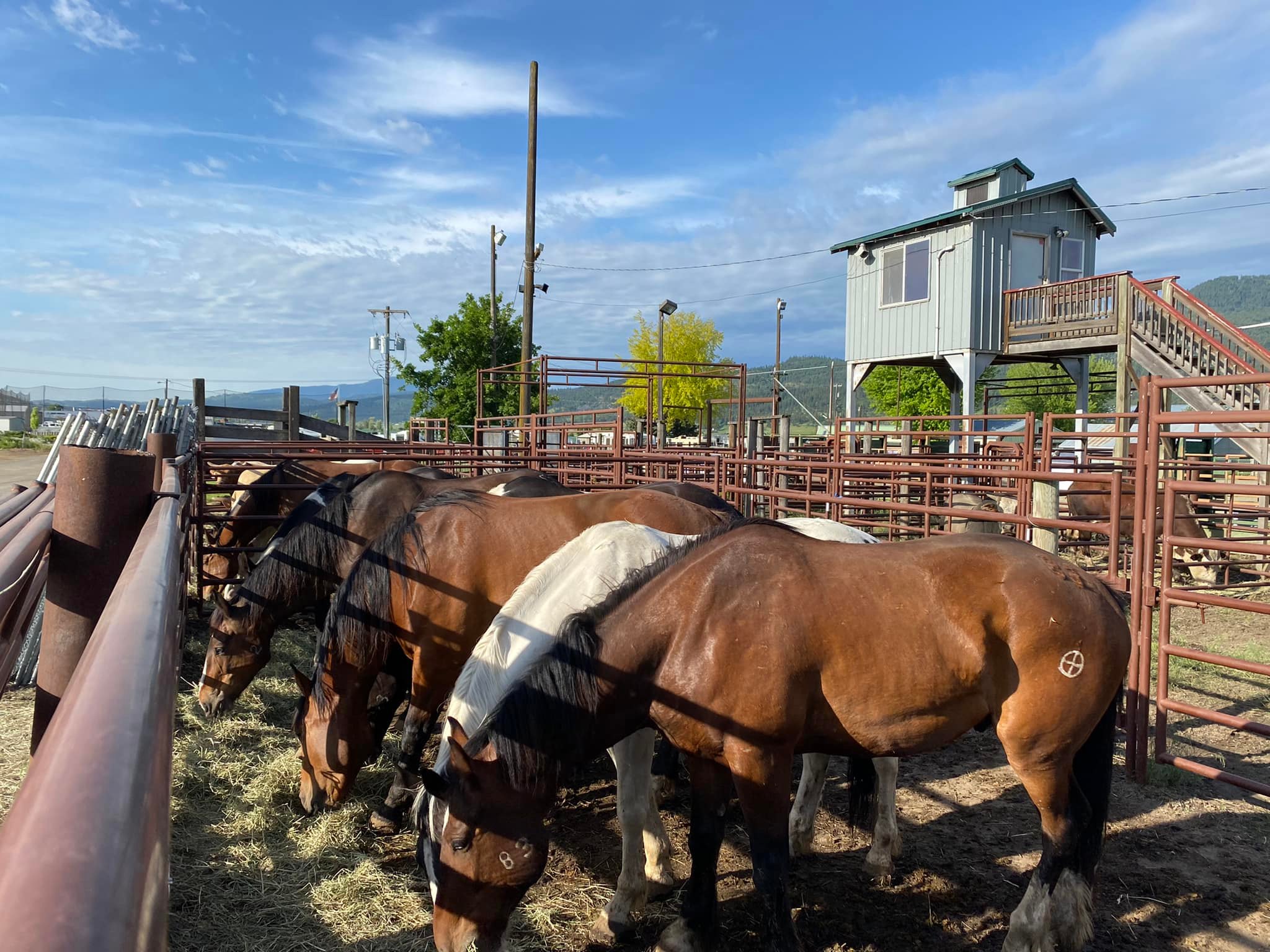 Colville Pro Rodeo | Colville WA