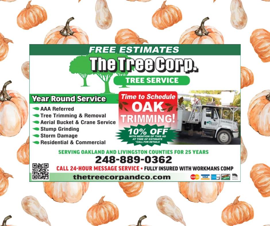 🍂Fall is the perfect time to trim... - The Tree Corp & Co | Facebook