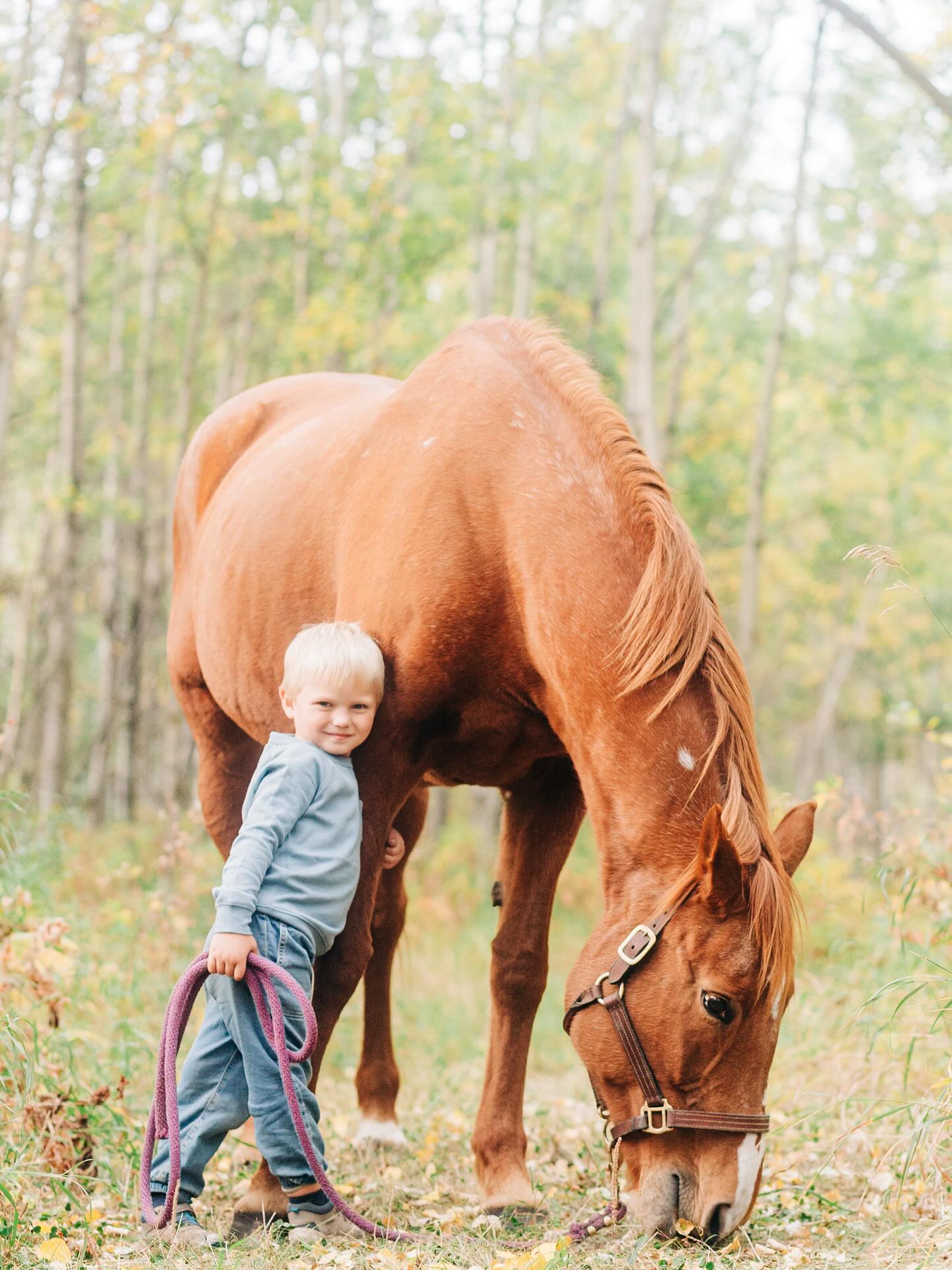 Jess Mayfield Photography