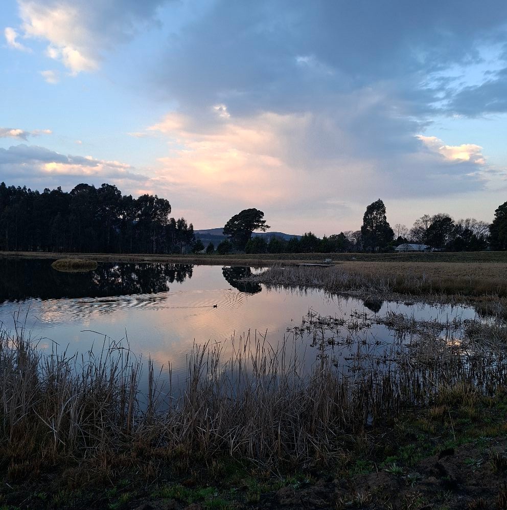 Kamberg Valley Hideaway - Sunset over Cleopatra Mountain with our two ...