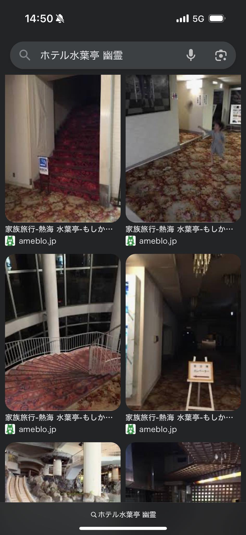 公の場での発言・インタビュー報道記録