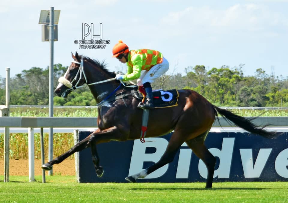Gavin Smith Racing Stables... - Gavin Smith Racing Stables