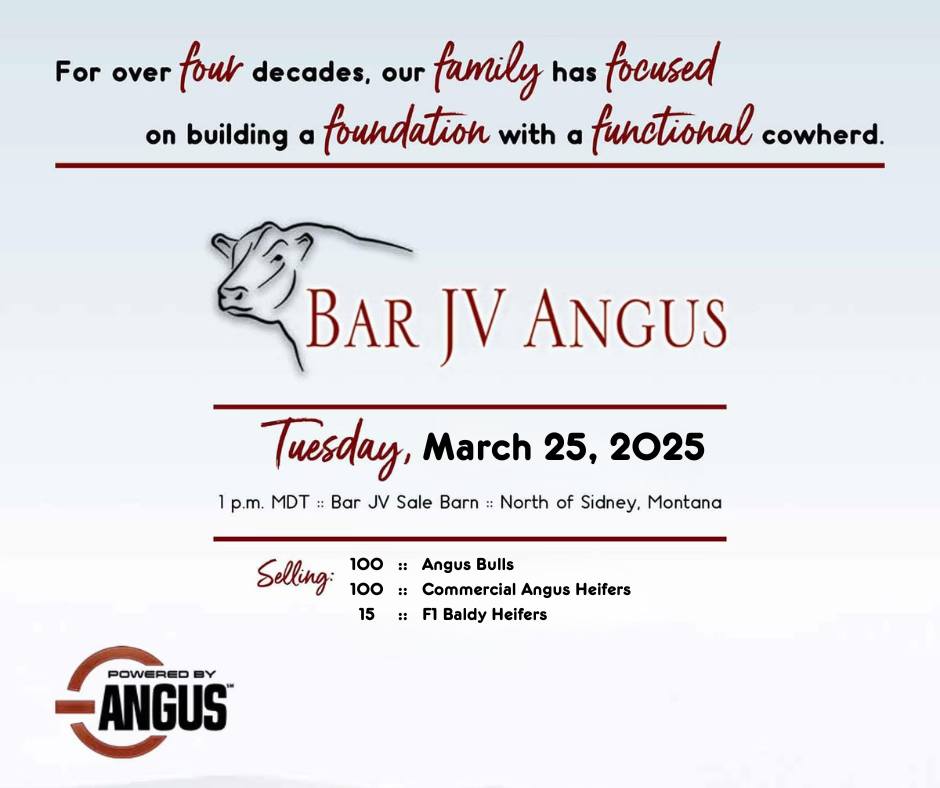 Bar JV Angus | Fairview MT