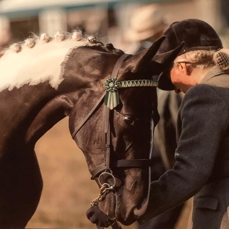🐴 HOYS Countdown - Day 16 🐴 Today we feature Bugatti (Master Design GA ...