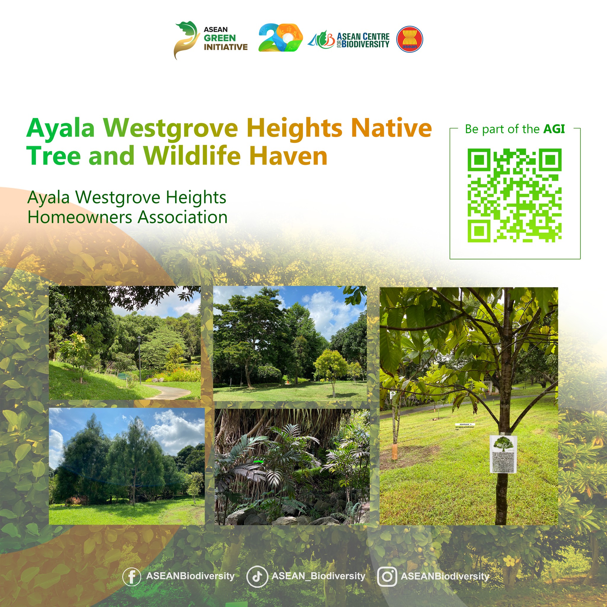 ASEAN - 🌿 Not all trees are equal — and one community proves why that ...