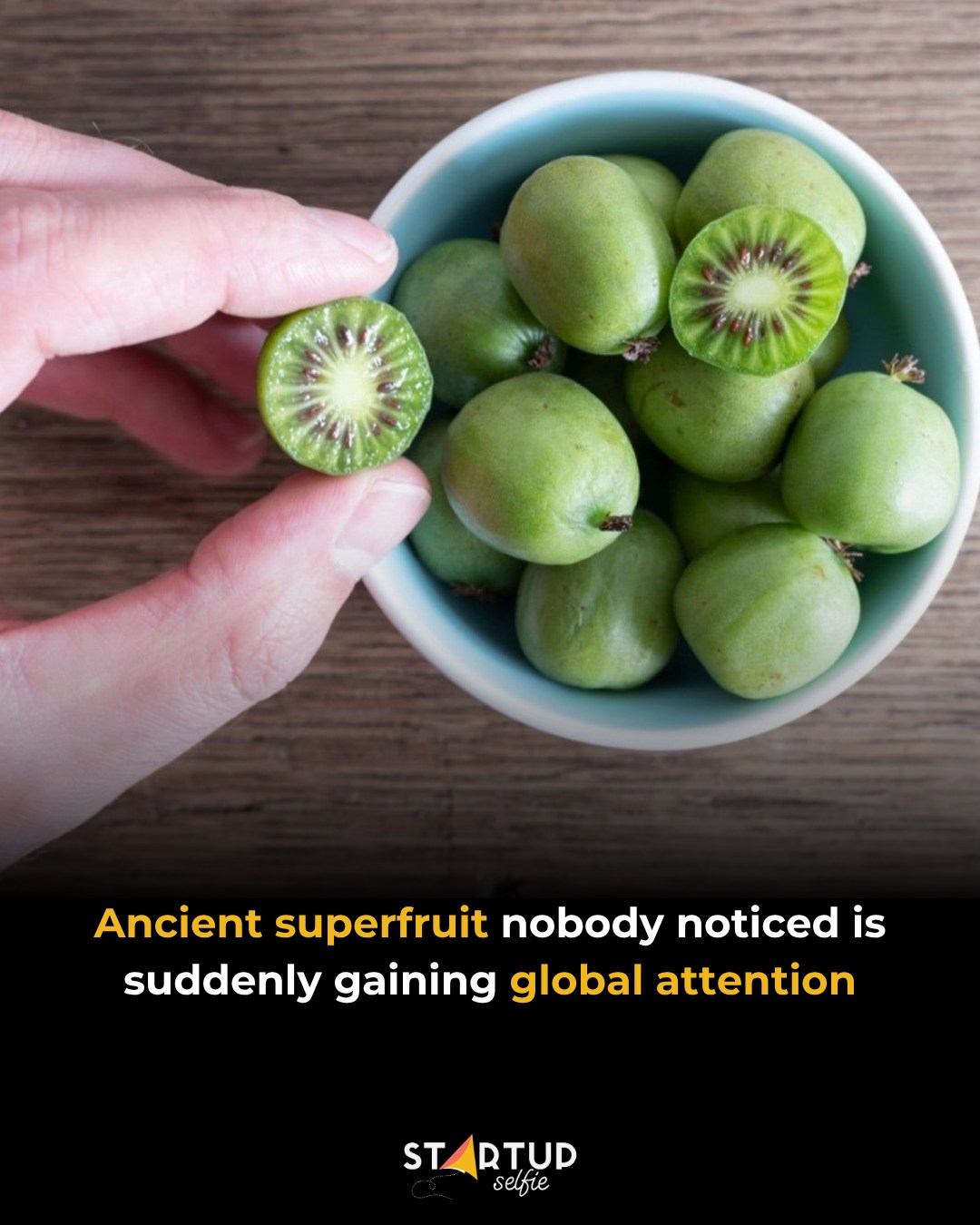 Meet the kiwiberry — a tiny fruit with a surprisingly massive backstory. At first glance, it looks like a smooth, grape-sized version of the kiwi. But unlike many “mini” fruits we see