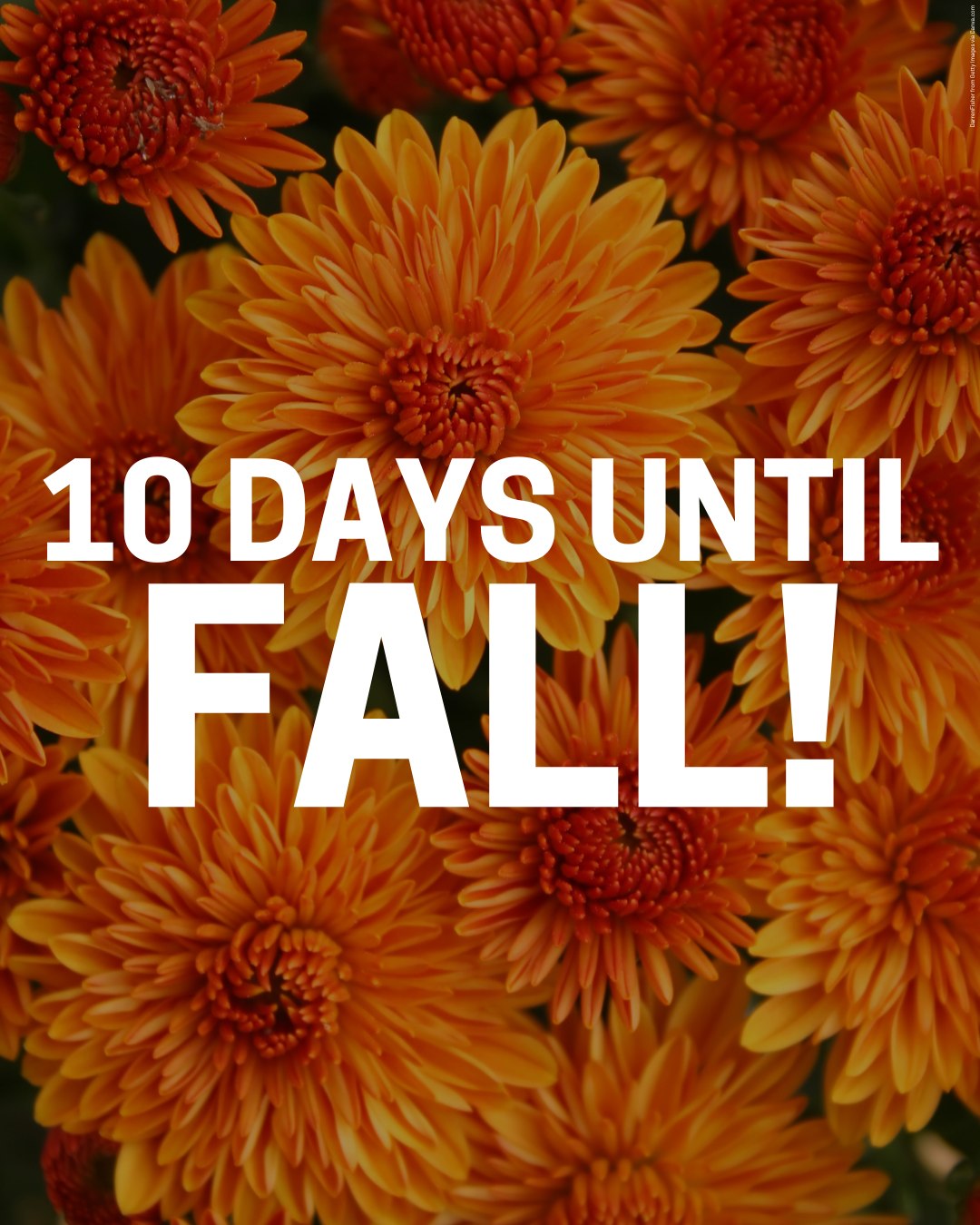 KTIV - It's just 10 days until fall. What is your favorite part of this ...