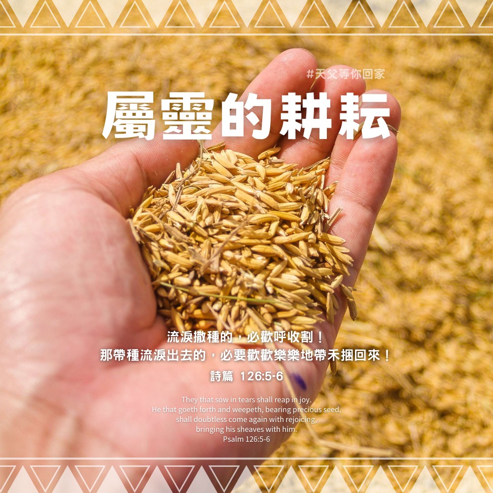 天父等你回家 - 經歷屬靈的耕耘，收穫豐盛的生命 「流淚撒種的，必歡呼收割！那帶種流淚出去的，必要歡歡樂樂地帶禾捆回來！」(詩篇 126:5 ...