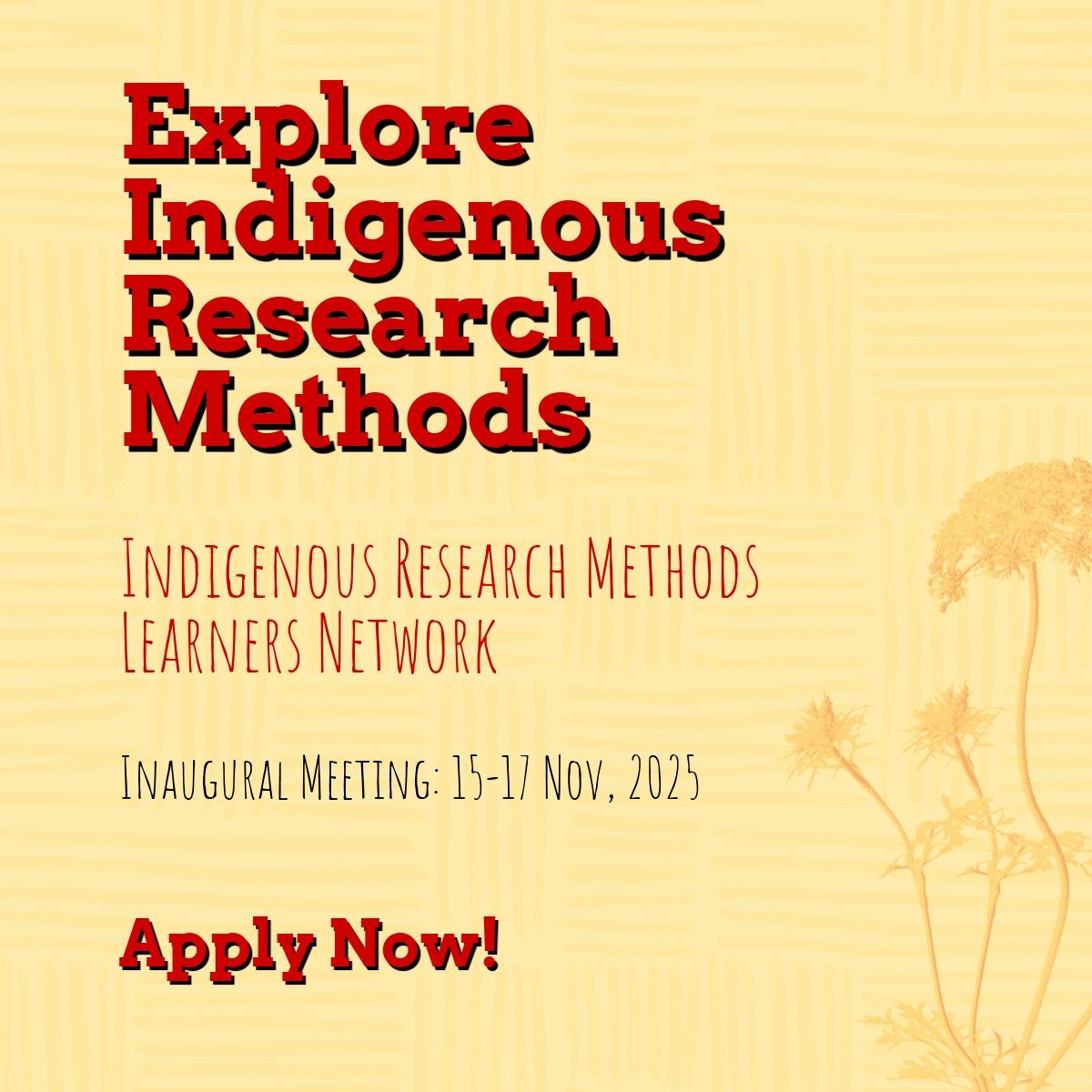 Braiding - Explore Indigenous Research Methods – Apply by TOMORROW, Oct ...