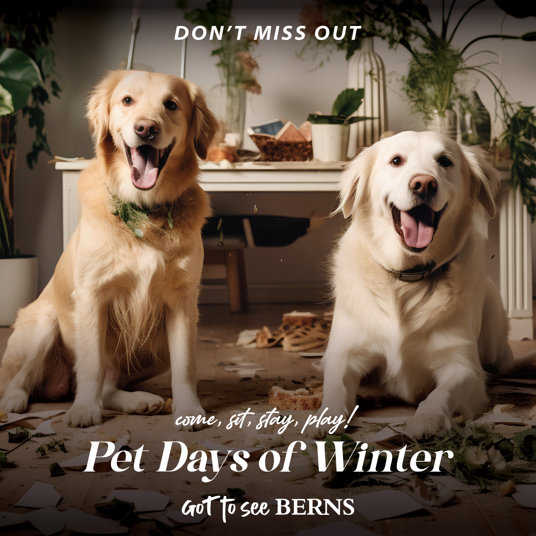 Dog Days of Winter Adoption Event