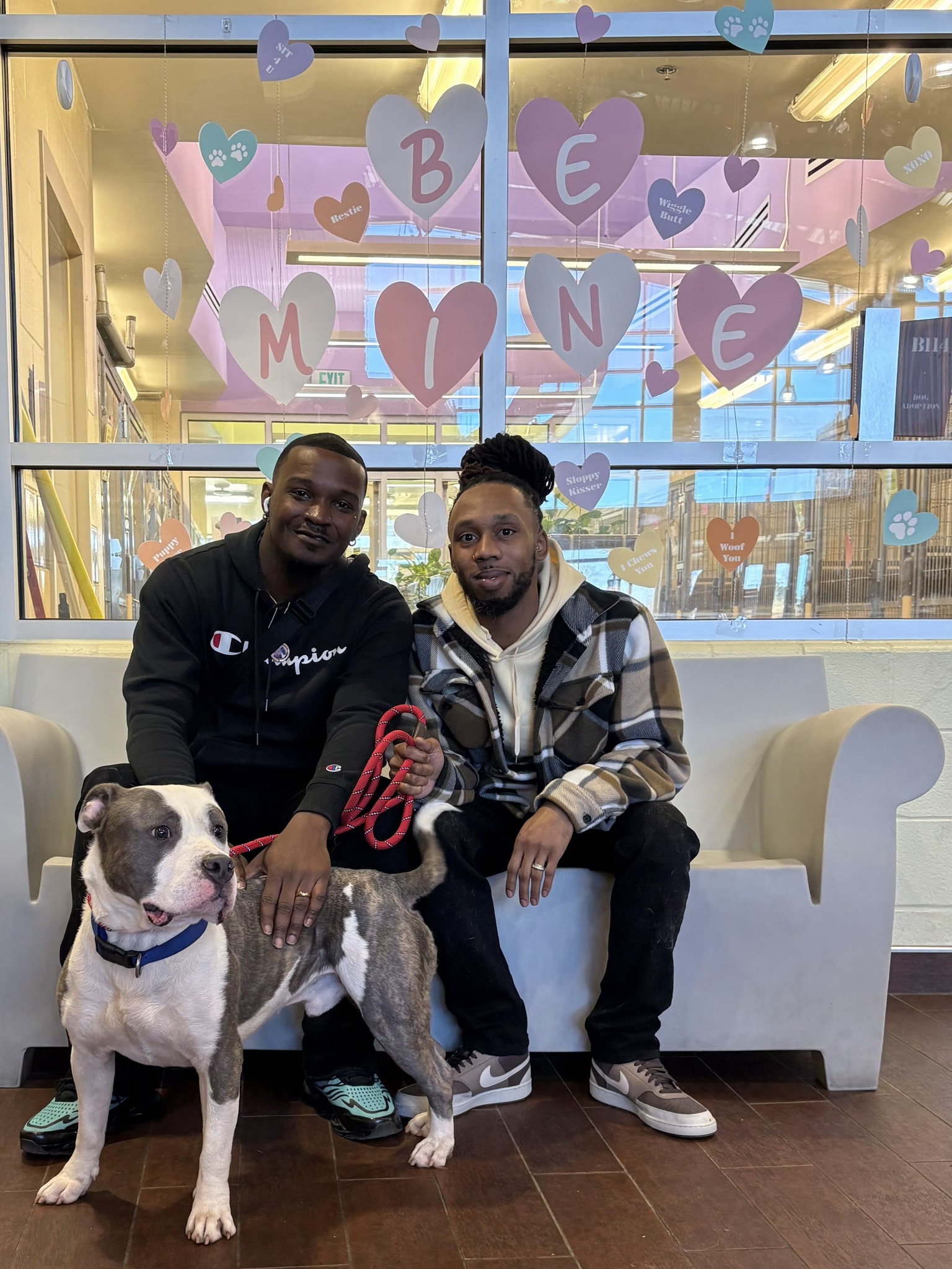 Chesapeake - DALLAS!! No longer our longest resident, this sweet pup ...